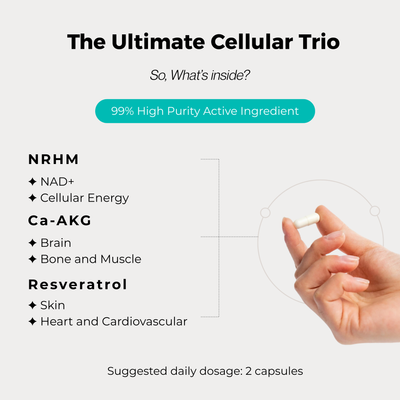 PureBloom NR1000 Advanced NAD+
